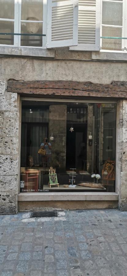 Appartamento Le Logis De La Rue Des Arts Blois Esterno foto