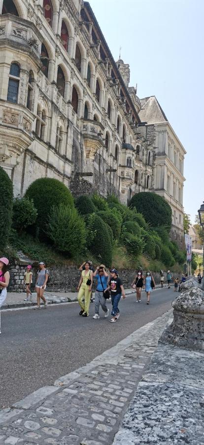 Appartamento Le Logis De La Rue Des Arts Blois Esterno foto