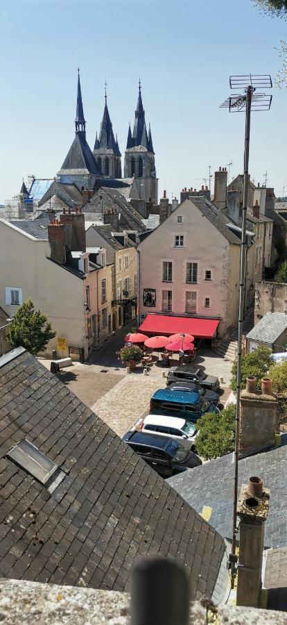 Appartamento Le Logis De La Rue Des Arts Blois Esterno foto