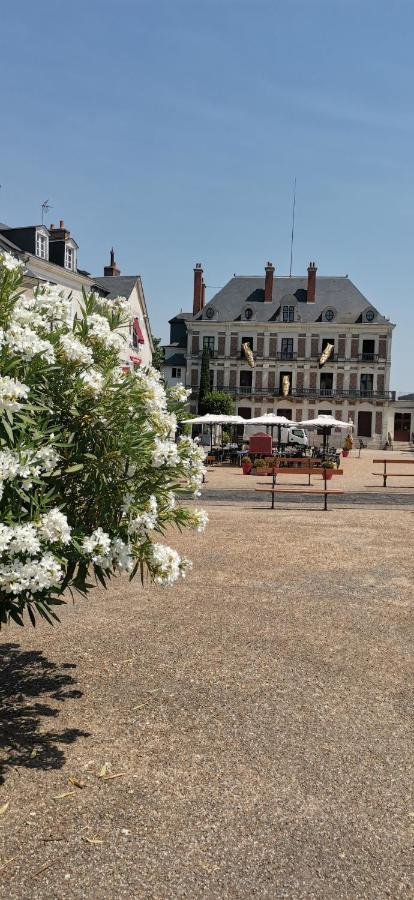 Appartamento Le Logis De La Rue Des Arts Blois Esterno foto