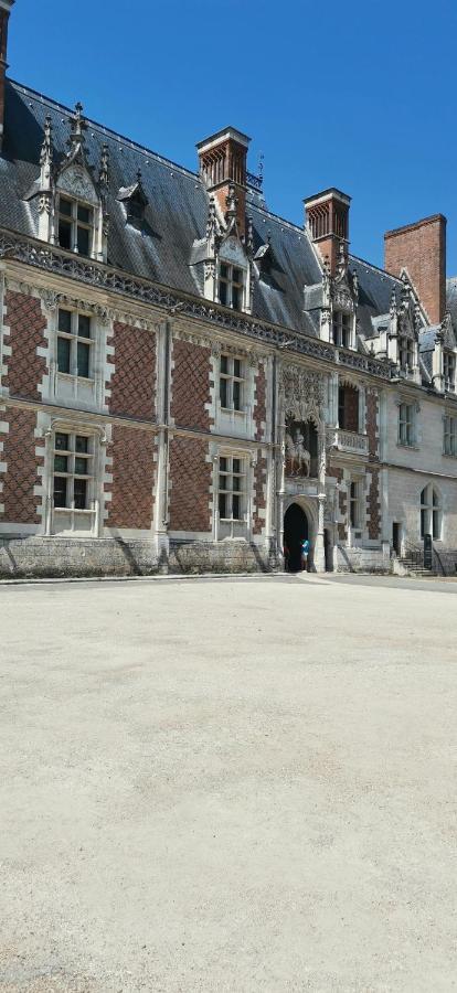 Appartamento Le Logis De La Rue Des Arts Blois Esterno foto